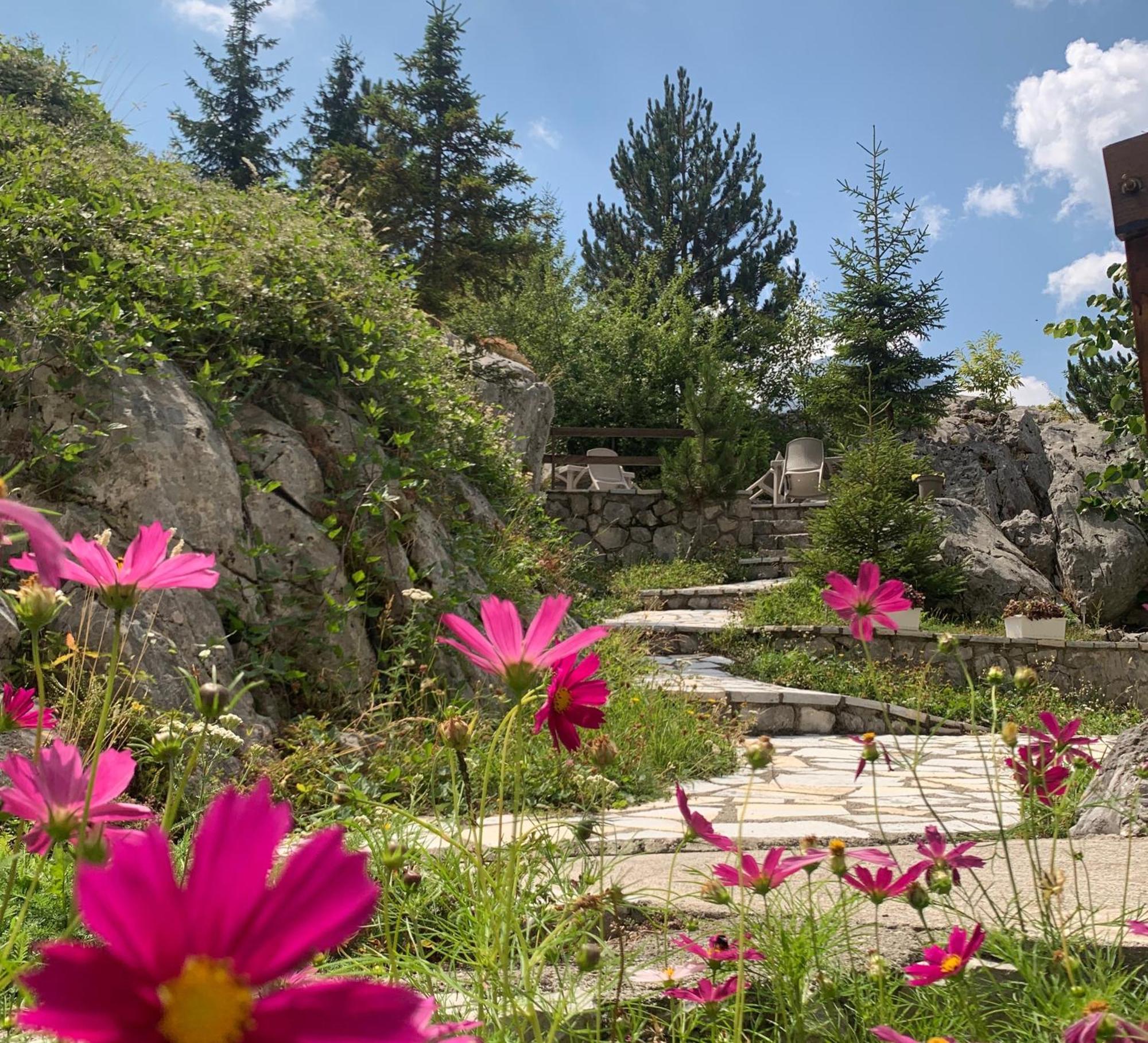 Bujtina Valbone Hotel Luaran gambar